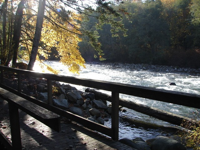 Salsbury House B&B主图