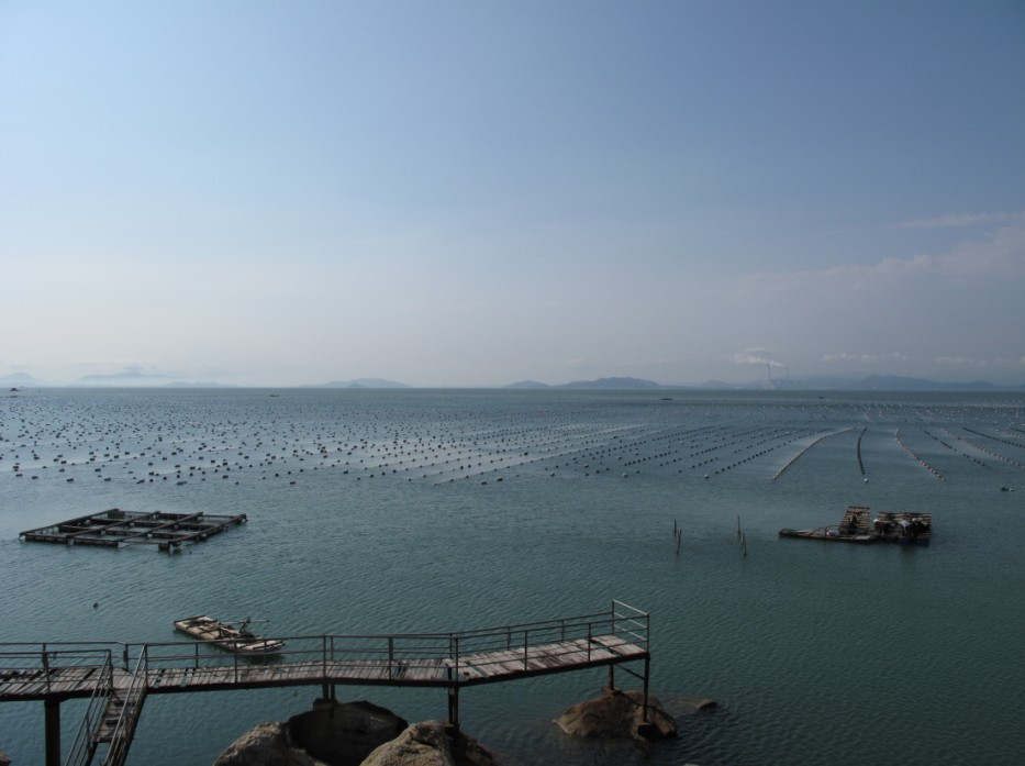 汕头南澳海岛森林公园-南澳县必去景点