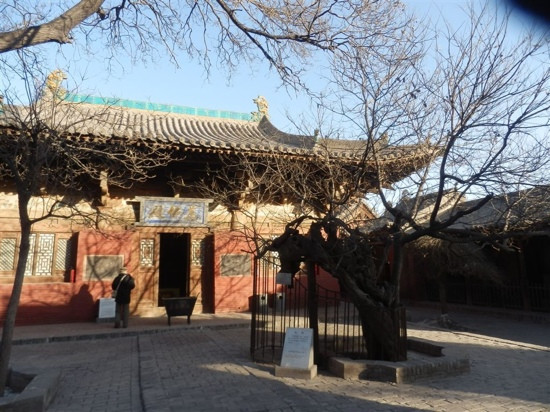 镇国寺景点图片