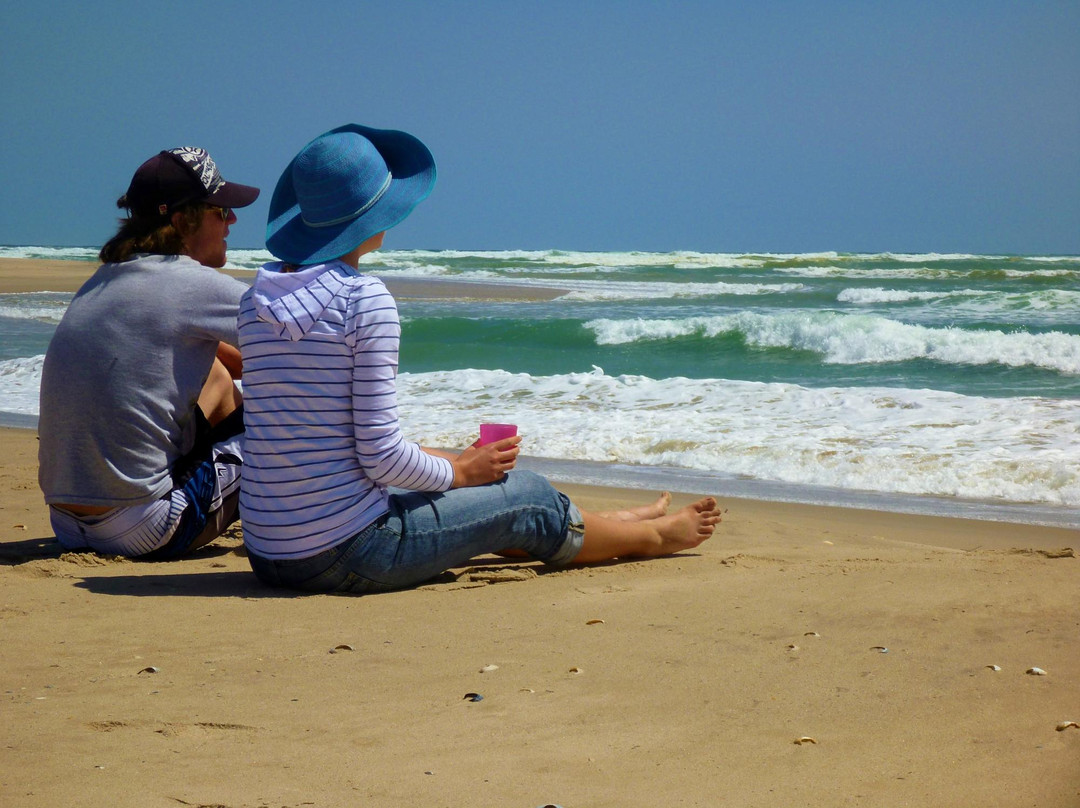 Canoe The Coorong - Day Tours-Hindmarsh Island必去景点