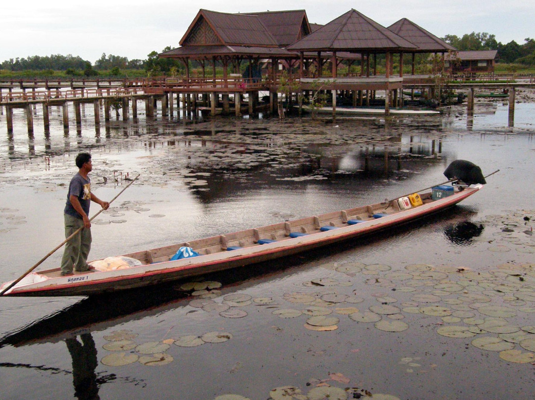 Thale Noi Waterbird Park景点图片