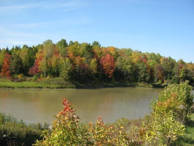 Fort Creek Conservation Area-苏圣玛丽必去景点