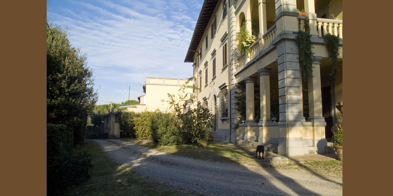 Fattoria Collebrunacchi
