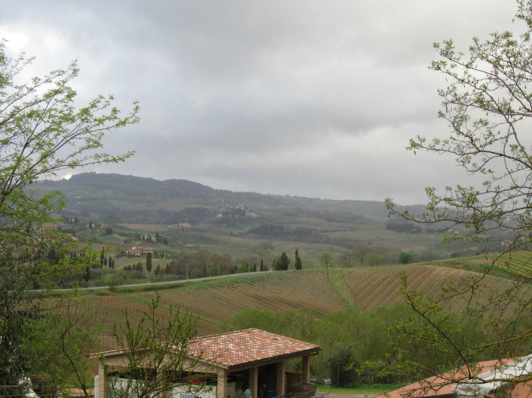 Az Agr Il Vecchio Maneggio景点图片