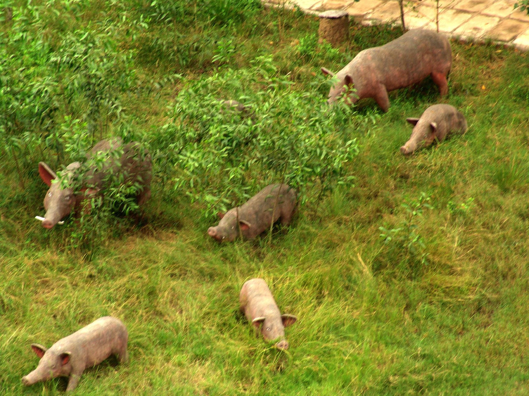 Vam Sat Salt-Marsh Forest Ecological Tourist Center-胡志明市必去景点