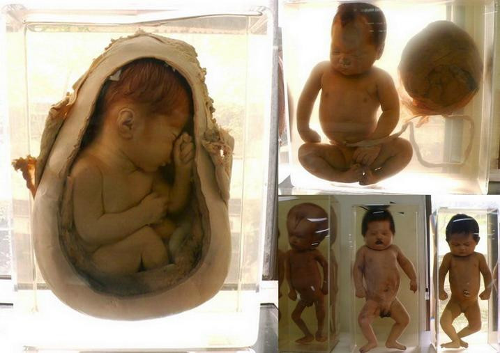 死亡博物馆-曼谷必去景点