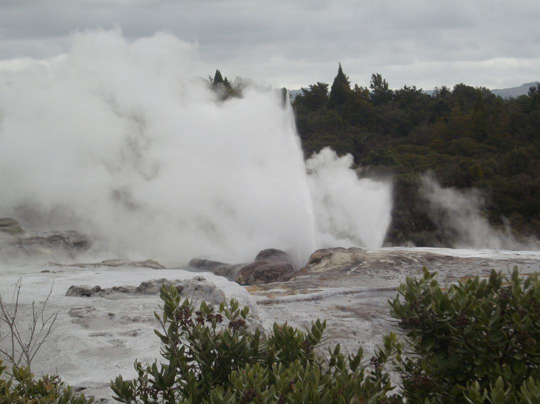 Archer Tours-汉密尔顿必去景点
