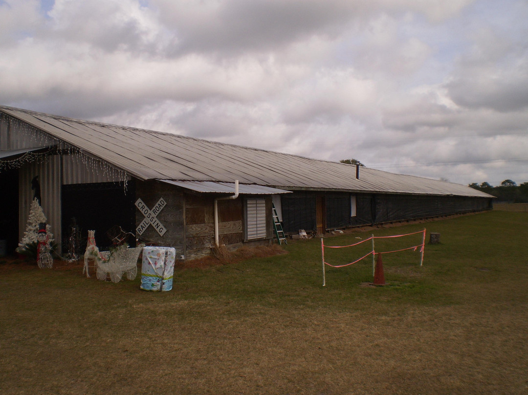 McCulley Farm-Jasper必去景点