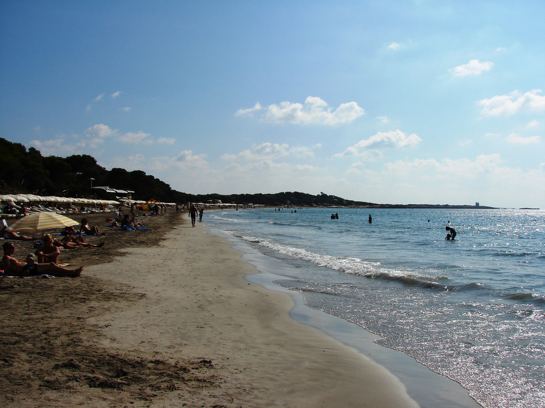 Platja de Migjorn景点图片