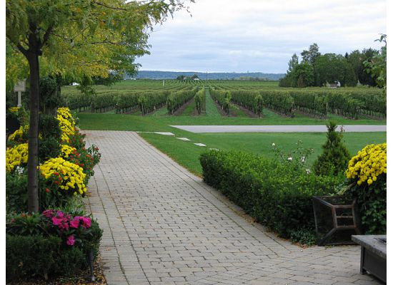 Peller Estates Winery-滨湖尼亚加拉必去景点