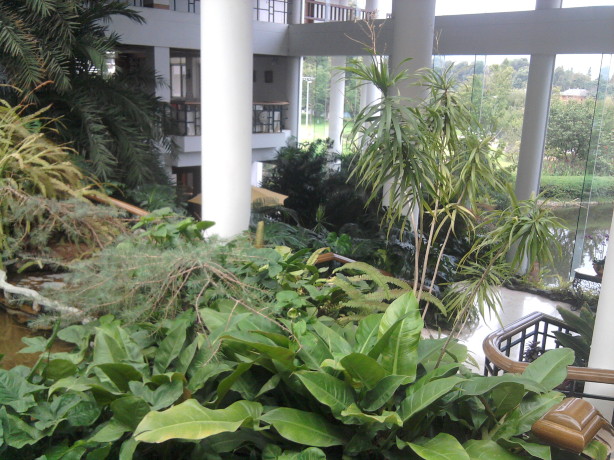 云南滇池温泉花园国际大酒店-客卧