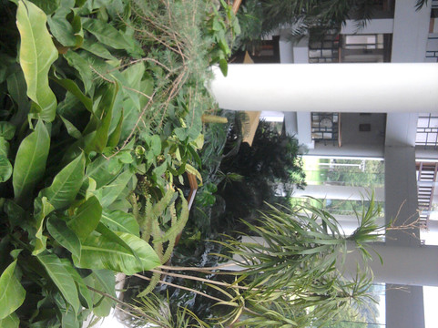 云南滇池温泉花园国际大酒店主图