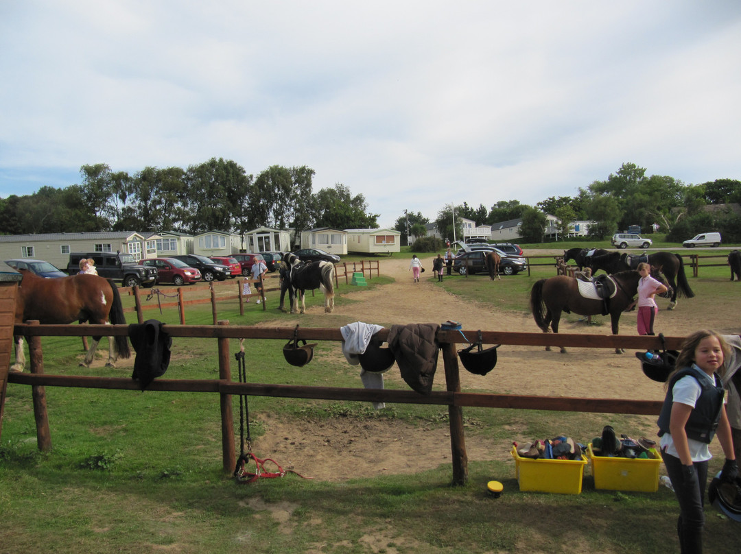 Sally's Riding School-St Helens必去景点