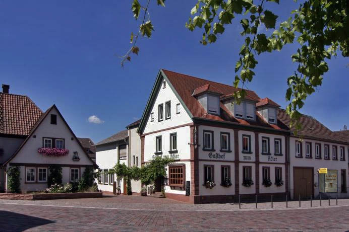 Adler Landhotel主图