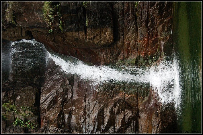 太行山猕猴保护区-漯河市必去景点