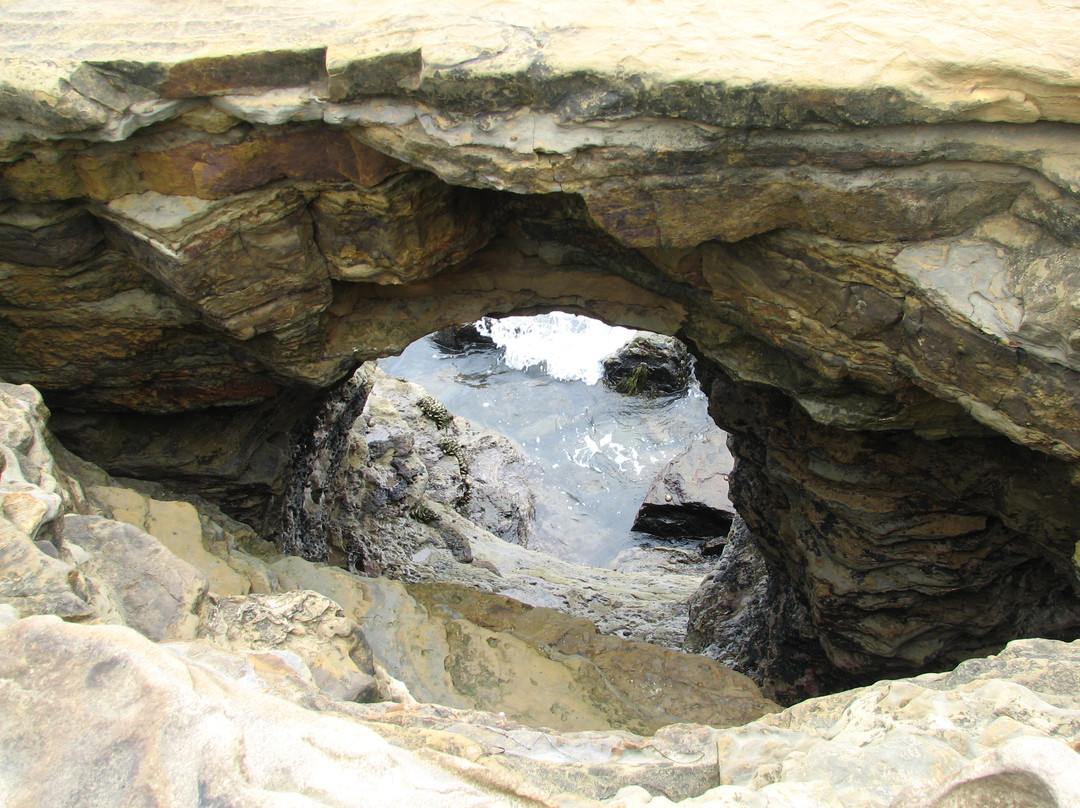 Cabrillo Tide Pools-圣地亚哥必去景点
