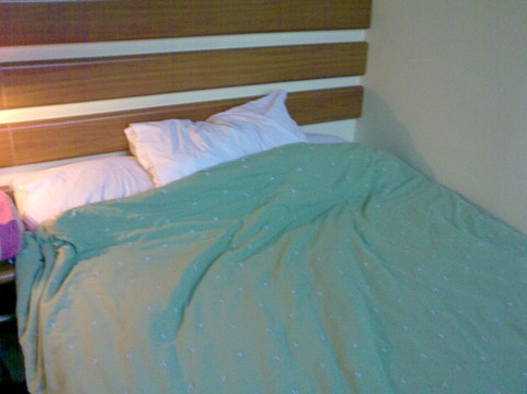 杭州如家西湖文化广场店主图