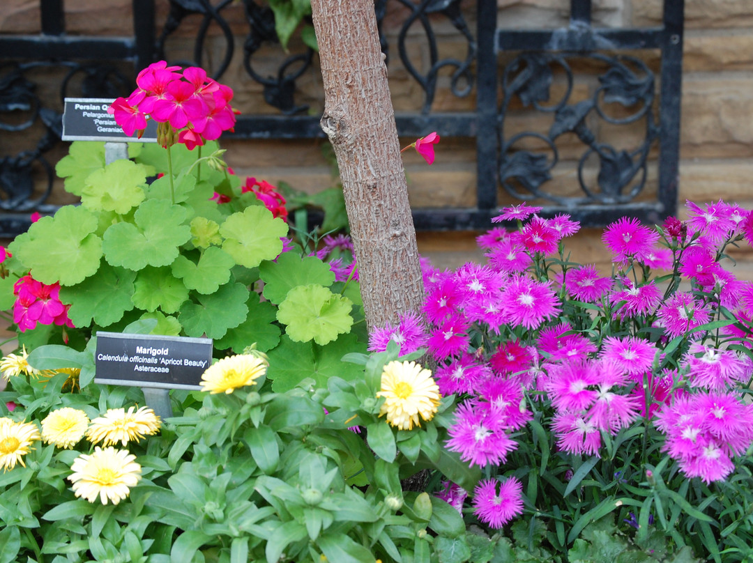 林肯公园动物园-芝加哥必去景点