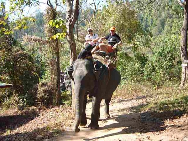 The Elephant Training Center Chiang Dao景点图片