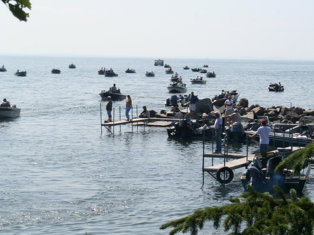 Nitti's Hunters Point Resort