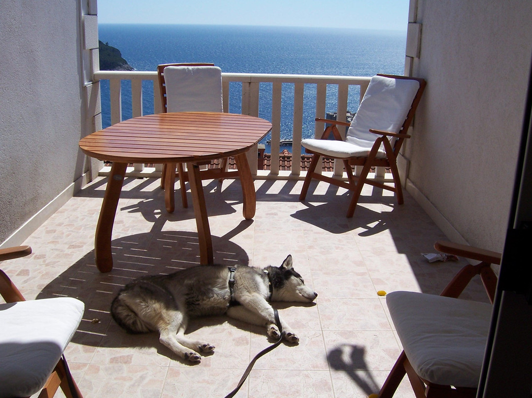 马里亚纳公寓主图