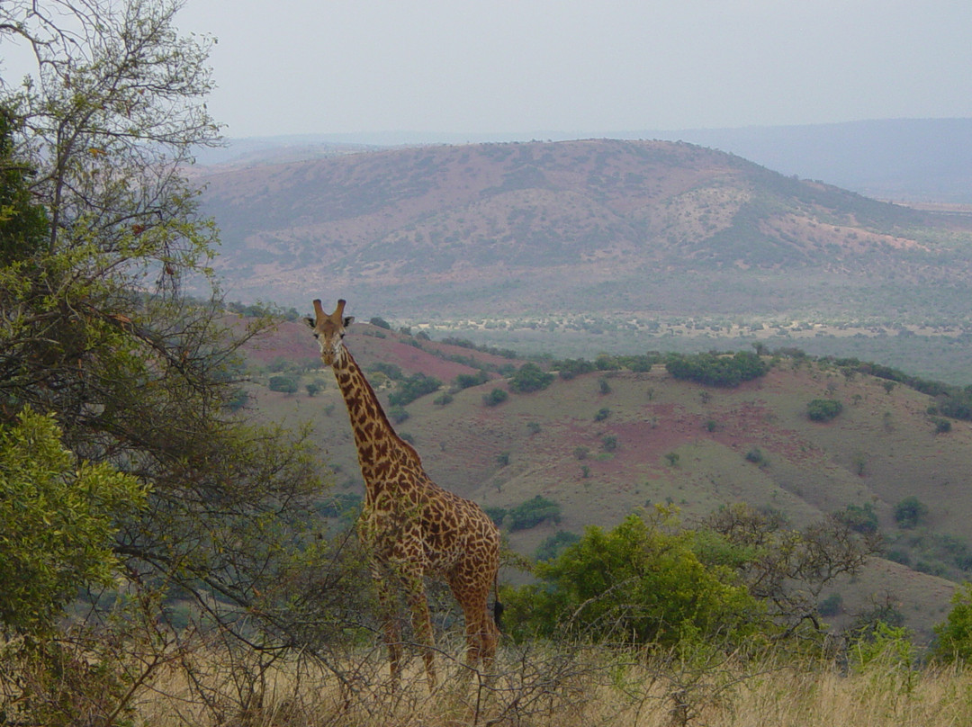 Akagera National Park-Eastern Province必去景点