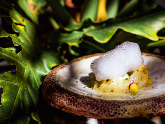 Piedra Hincada餐馆和美食-Verde Mar