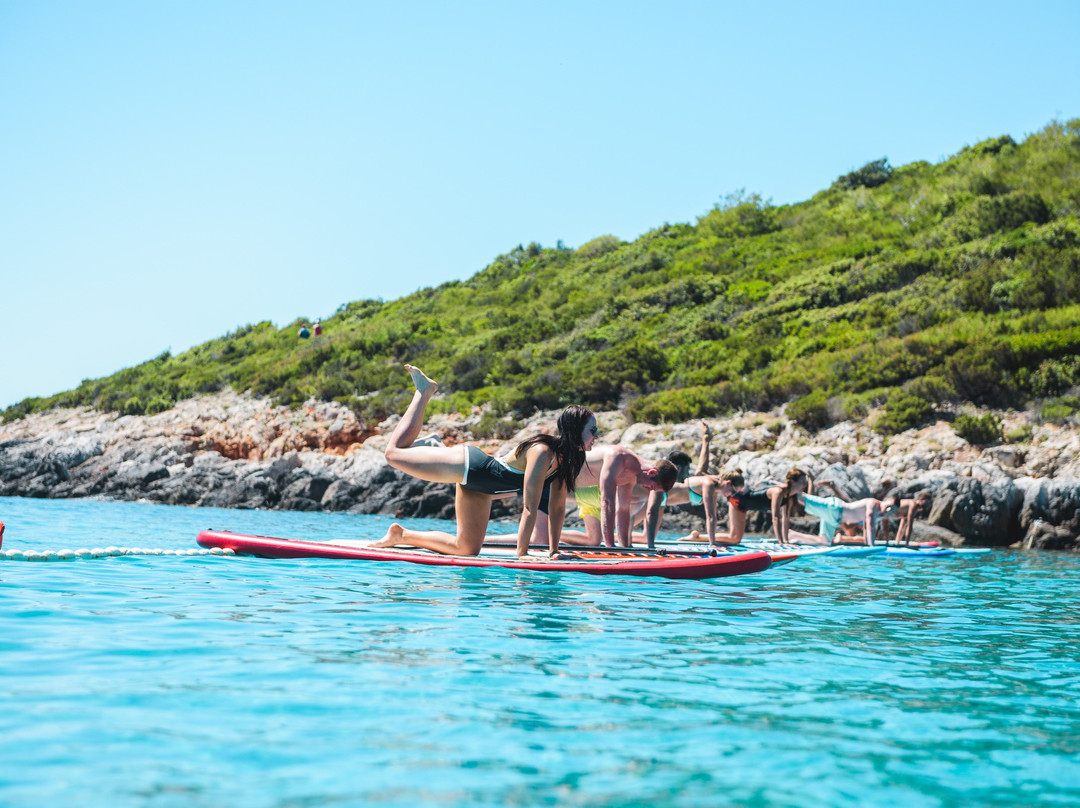 Stand Up Paddle Vis景点图片