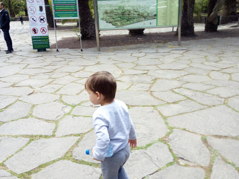 Tafira Baja餐馆和美食-Jardin Canario