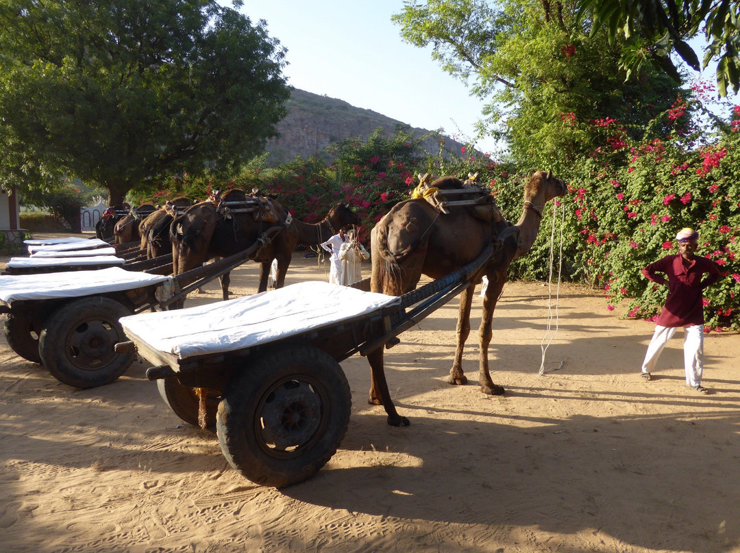 Geejgarh Eco Village Resort