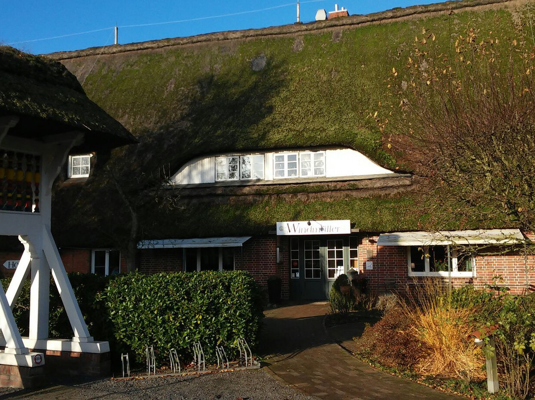 Gruenendeich餐馆和美食-Windmuller