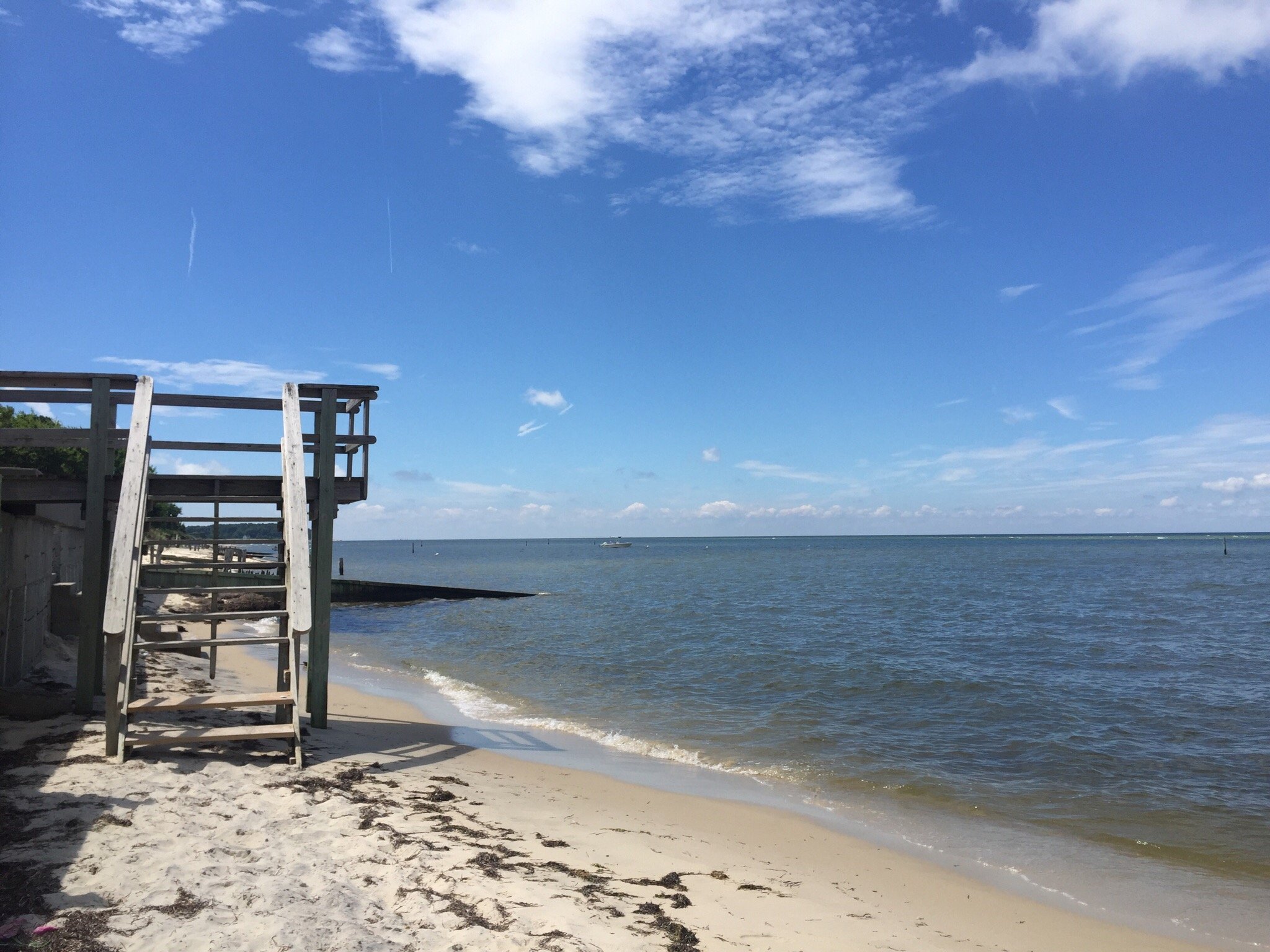 WhiteCliff B&B-官方