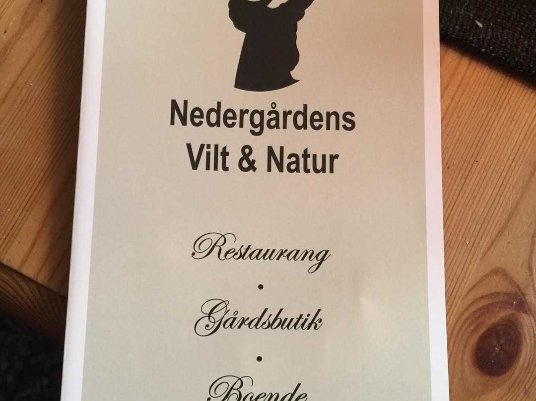 Villa Nedergården