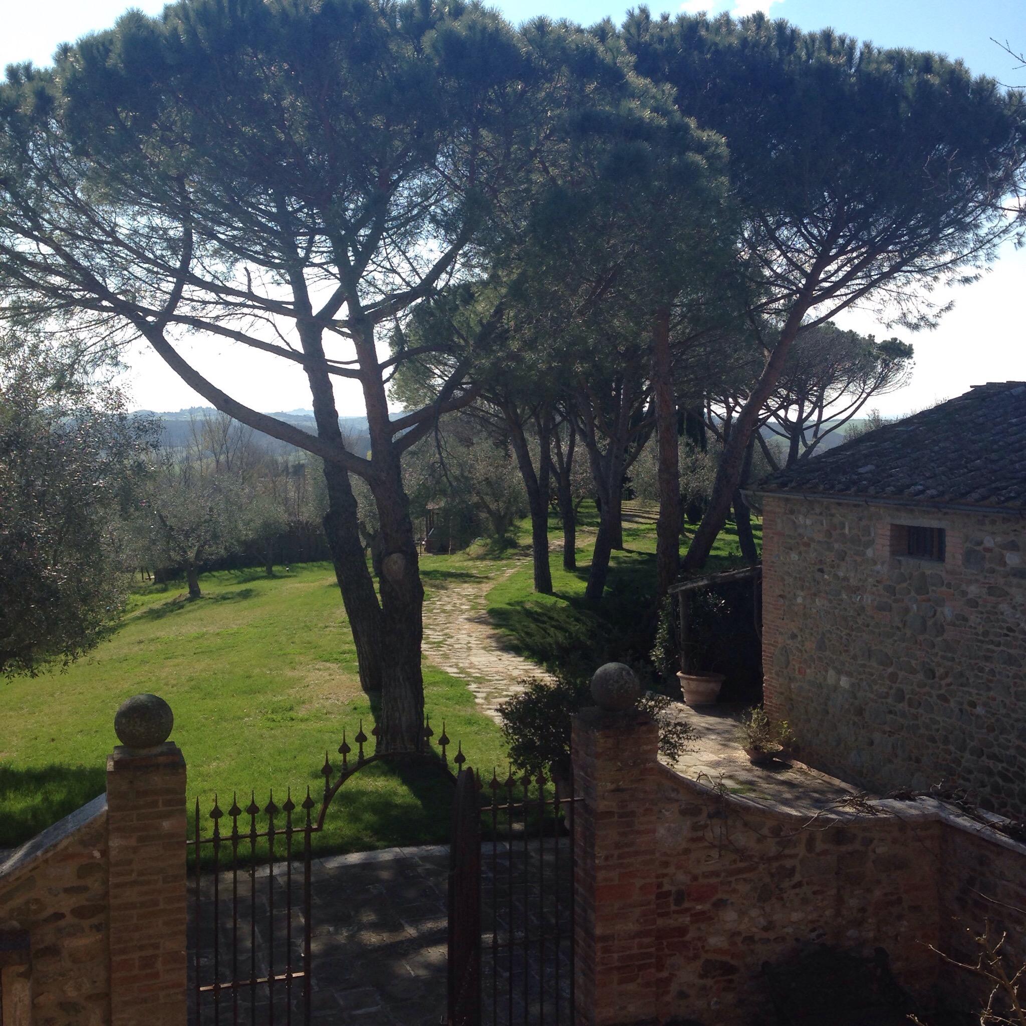 Casale degli Ulivi-官方