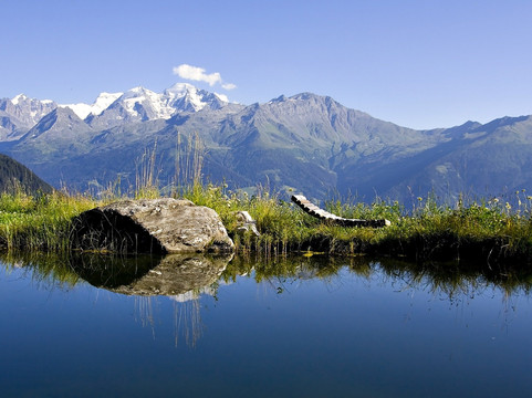 Private-Tour.ch-日内瓦必去景点