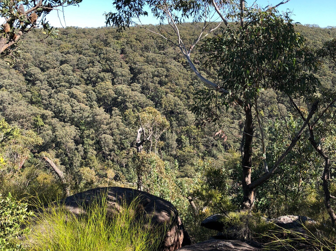 Lalor Drive Trail景点图片