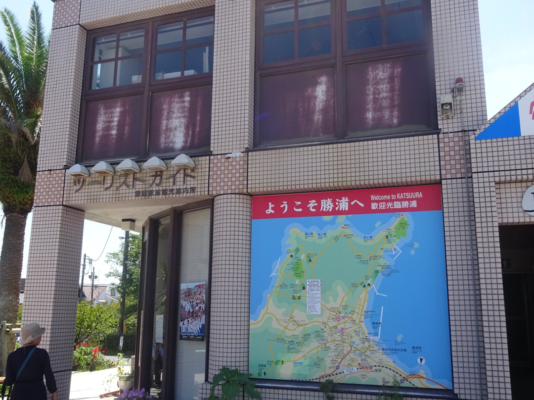 Katsuura Ekimae Tourist Information Center景点图片