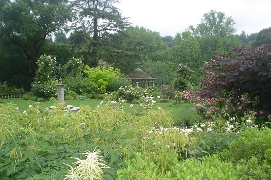 莫里斯植物园景点图片