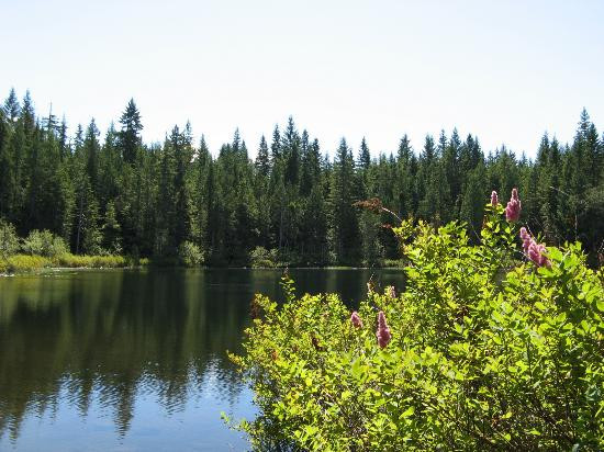 Alice Lake Provincial Park景点图片