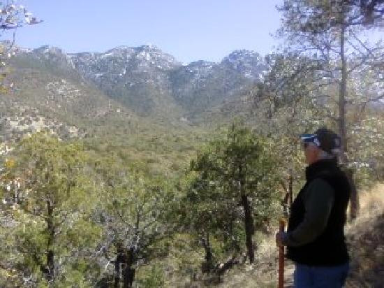 Madera Canyon-Madera Canyon必去景点