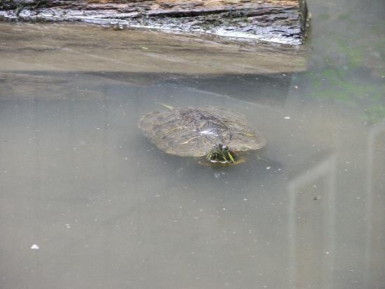 Bays Mountain Park & Planetarium-金斯波特必去景点