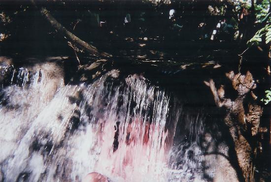 Cascadas Mágicas de Copalitilla景点图片