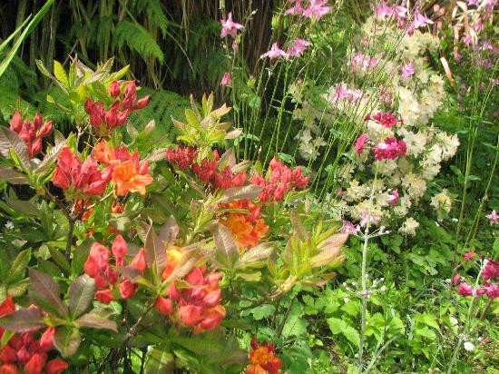 Bantry House & Garden-Bantry必去景点