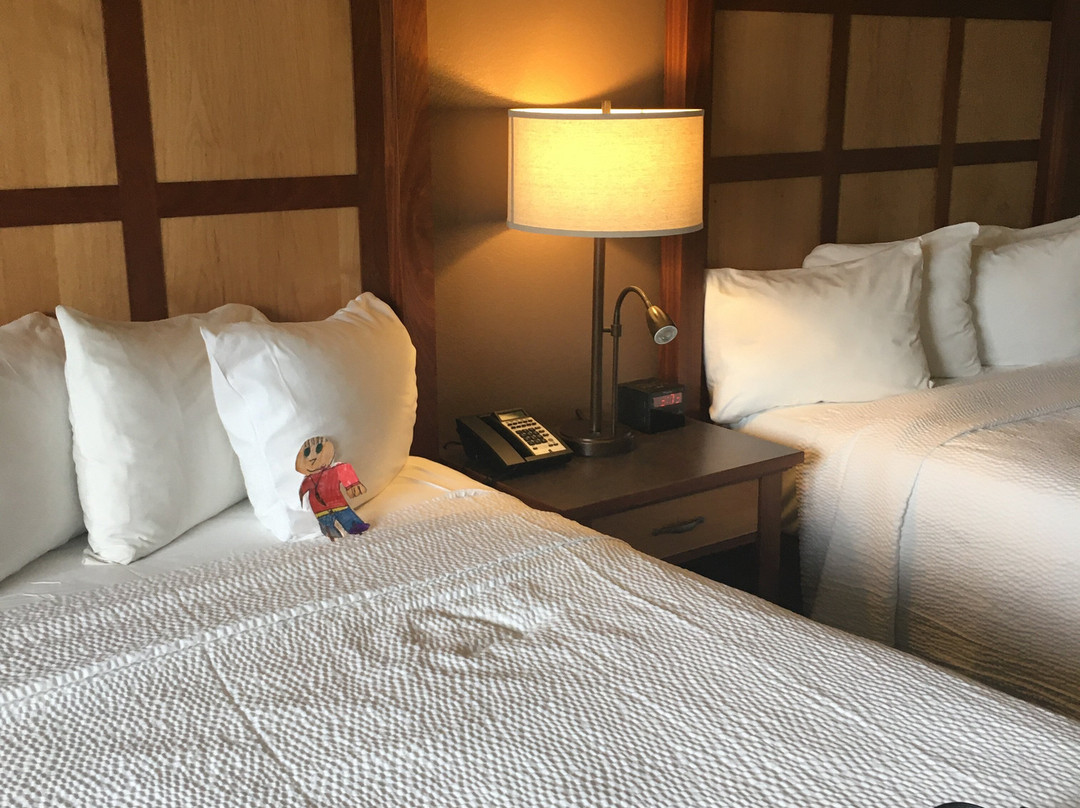 The Mill Casino Hotel and RV Park主图