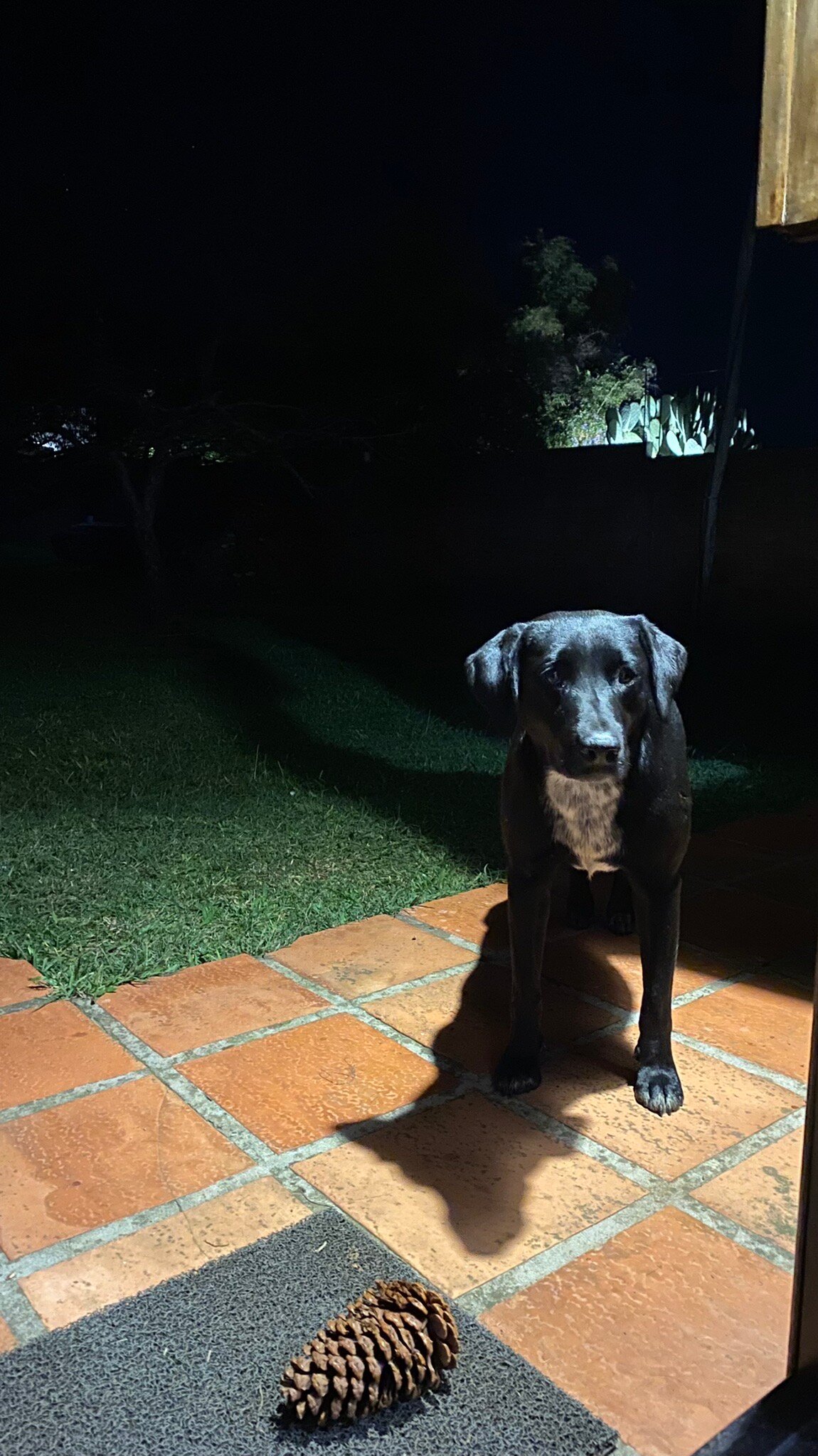 Pousada La Vivienda-官方