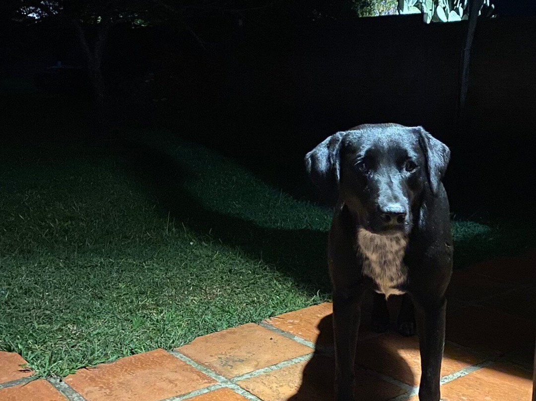 Pousada La Vivienda主图