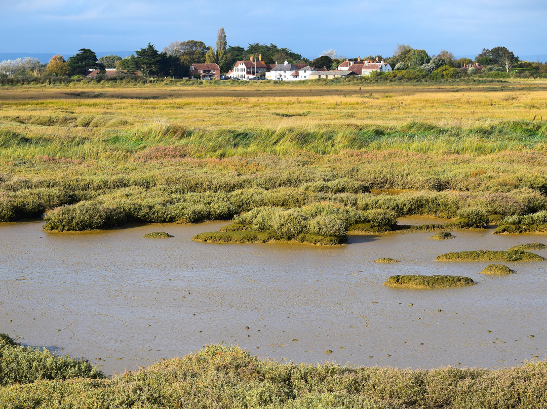 Pagham Harbour Local Nature Reserve景点图片