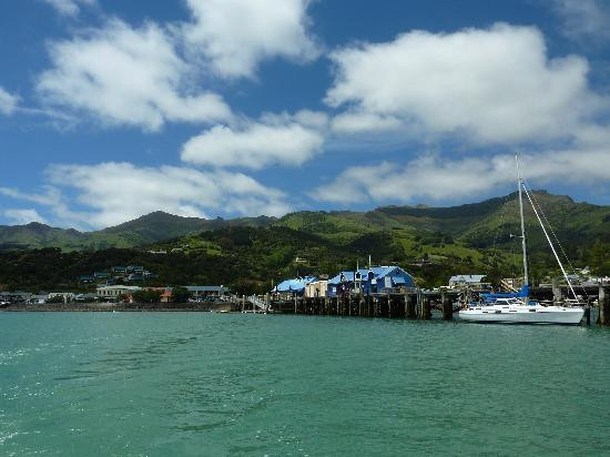 阿卡罗阿海豚观赏航行-阿卡罗阿必去景点