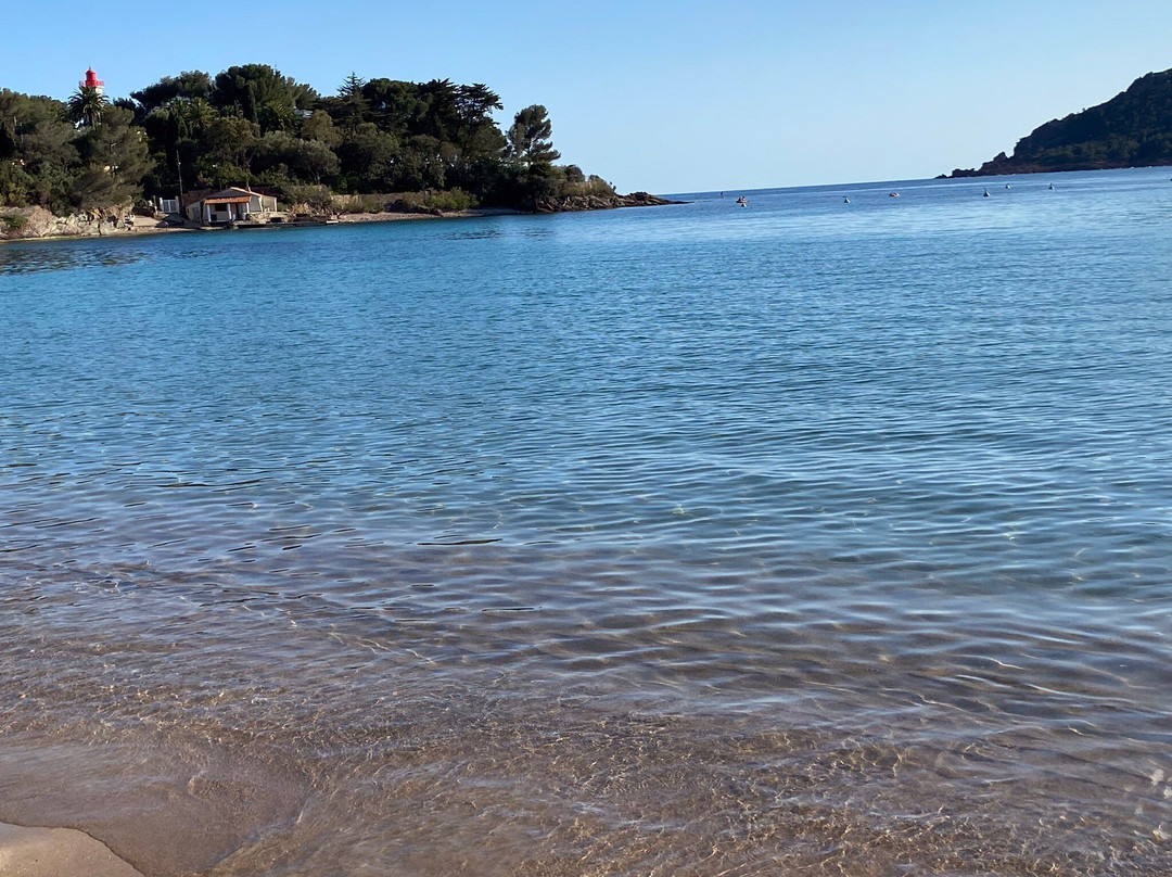Plage de la Baumette景点图片