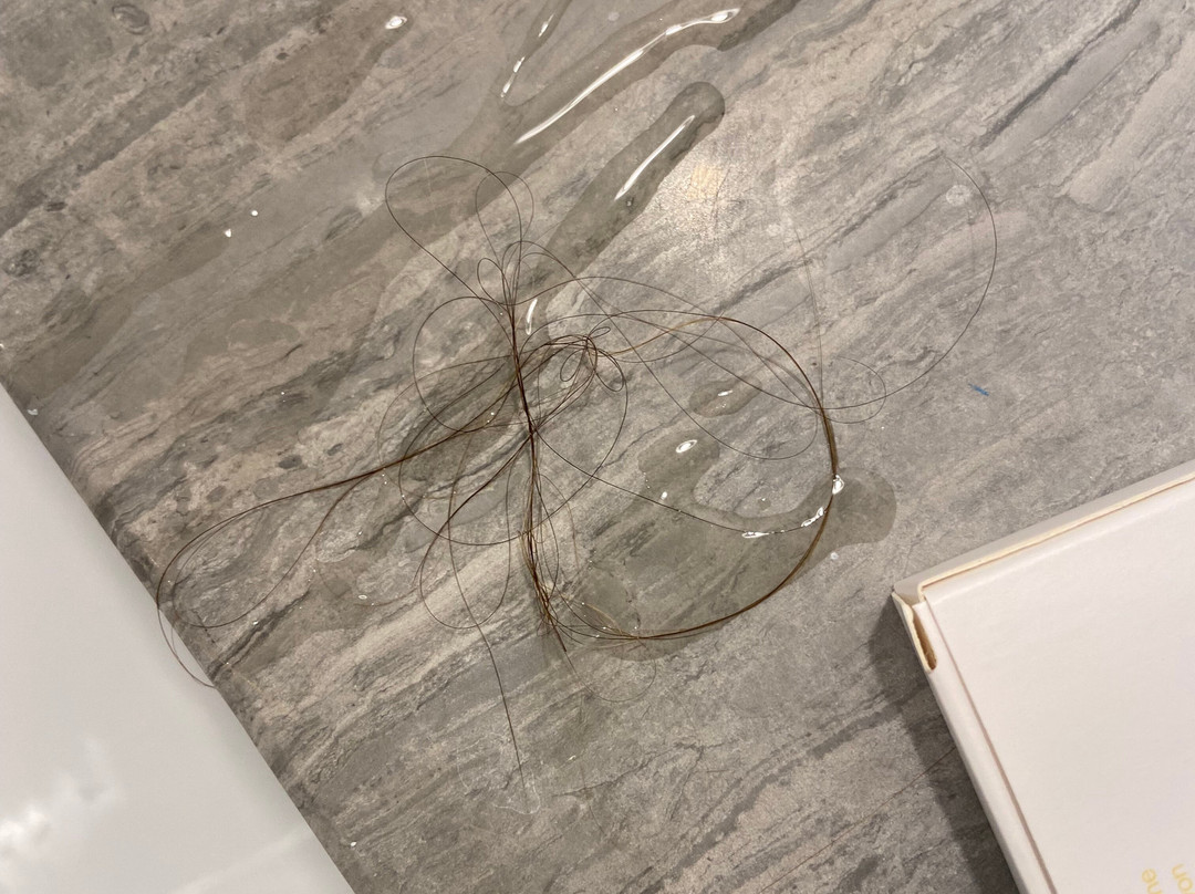 Kimpton Aertson Hotel主图